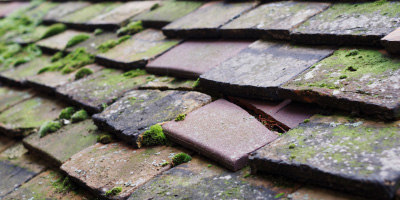 Folksworth roof repair costs